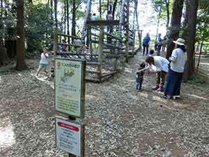 手賀の丘公園のアスレチック入口