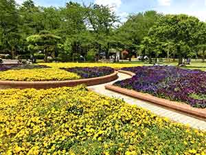 里見公園の噴水広場にあるフラワーガーデン