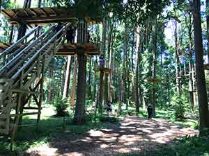 泉自然公園のフォレストアドベンチャー入口