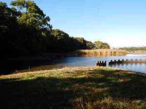 野鳥観察舎から見た谷津干潟