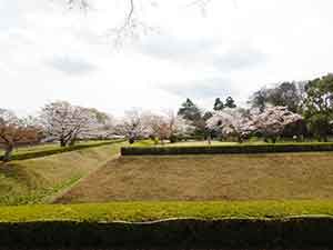 佐倉城址公園の名所馬出し空濠