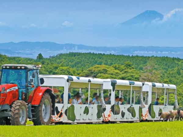 マザー牧場の周遊バス