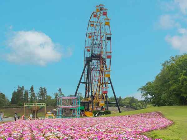 花畑と観覧車