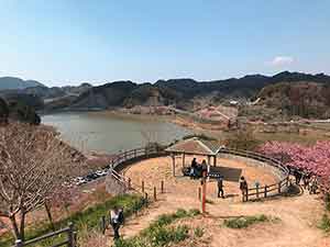 佐久間ダム湖親水公園の丘からみた湖の景色