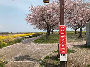自転車通行禁止の看板と歩道