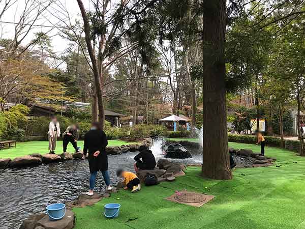 清水公園のマス釣り場