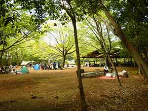 バーベキューを楽しむ21世紀の森の観光客