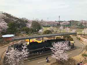 鎌ヶ谷市市制記念公園のSL