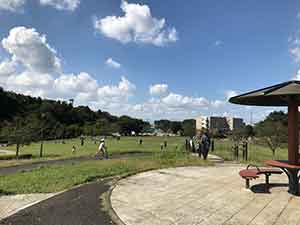 白井総合公園の丘からの景色