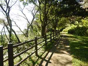 印旛沼を望める自然歩道