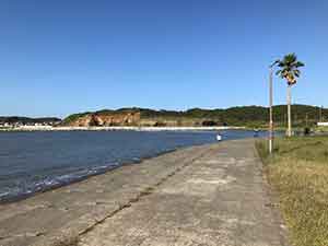 海沿いにある名洗港海浜公園の歩道