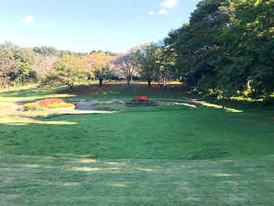 富里中央公園のお花広場