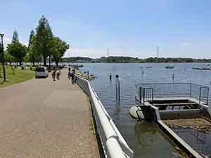 手賀沼沿いの舗装された遊歩道