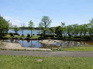 手賀沼親水広場の見に手賀沼