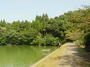 雄蛇ヶ池の林と釣り人