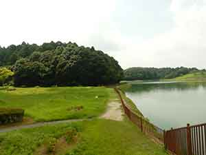 ときがね湖の横に設けられた遊歩道