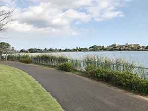 ふれあい坂田池公園の調整池と歩道