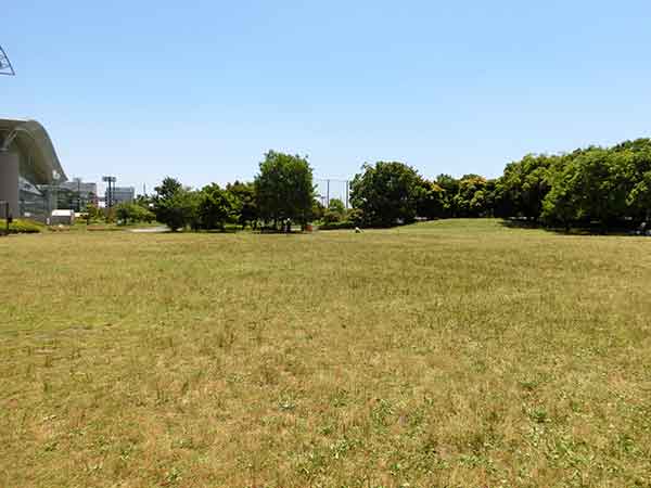 人がいない浦安市運動公園の芝生広場