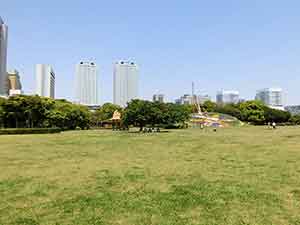 超広大な芝生の広場