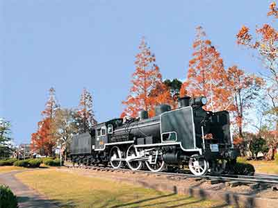 園内の蒸気機関車と紅葉
